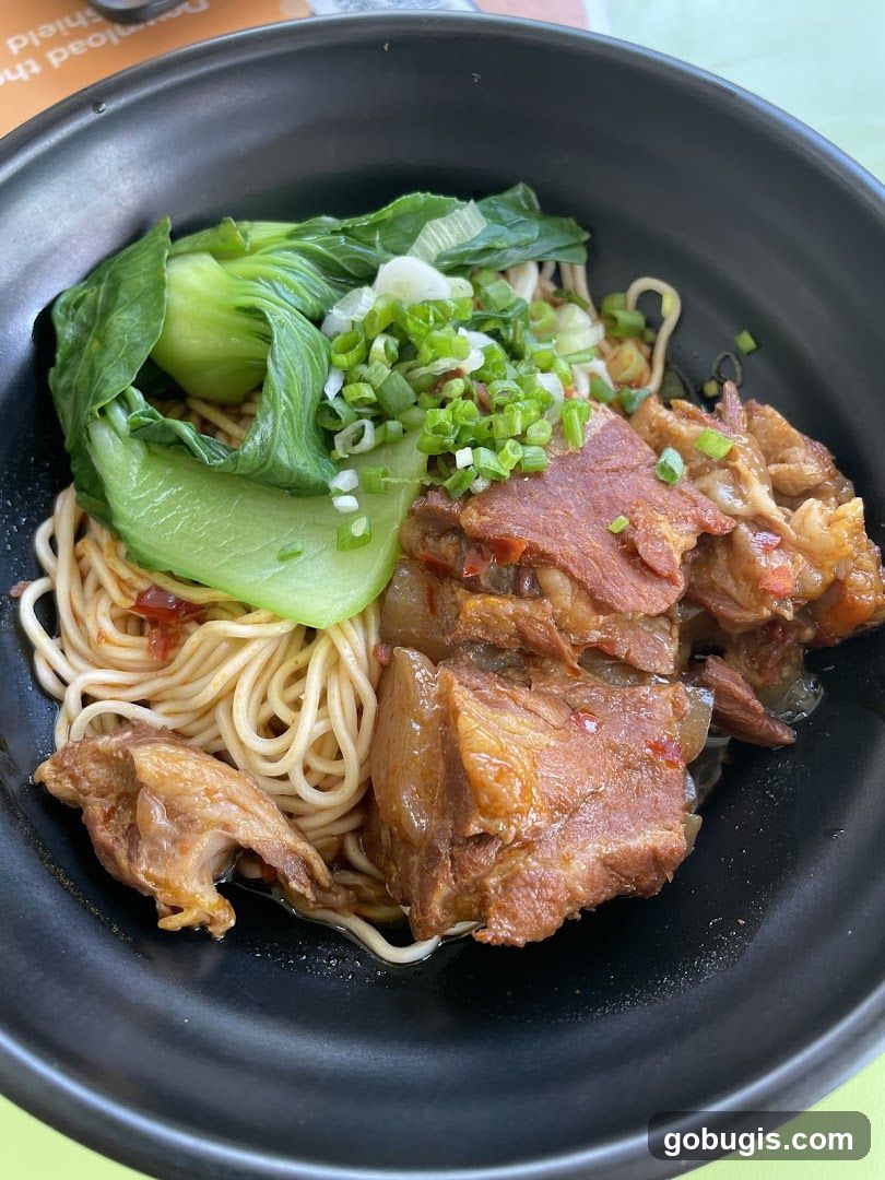 Braised Pork Noodles