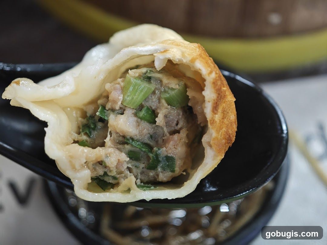 Close-up of a Pan-Fried Dumpling