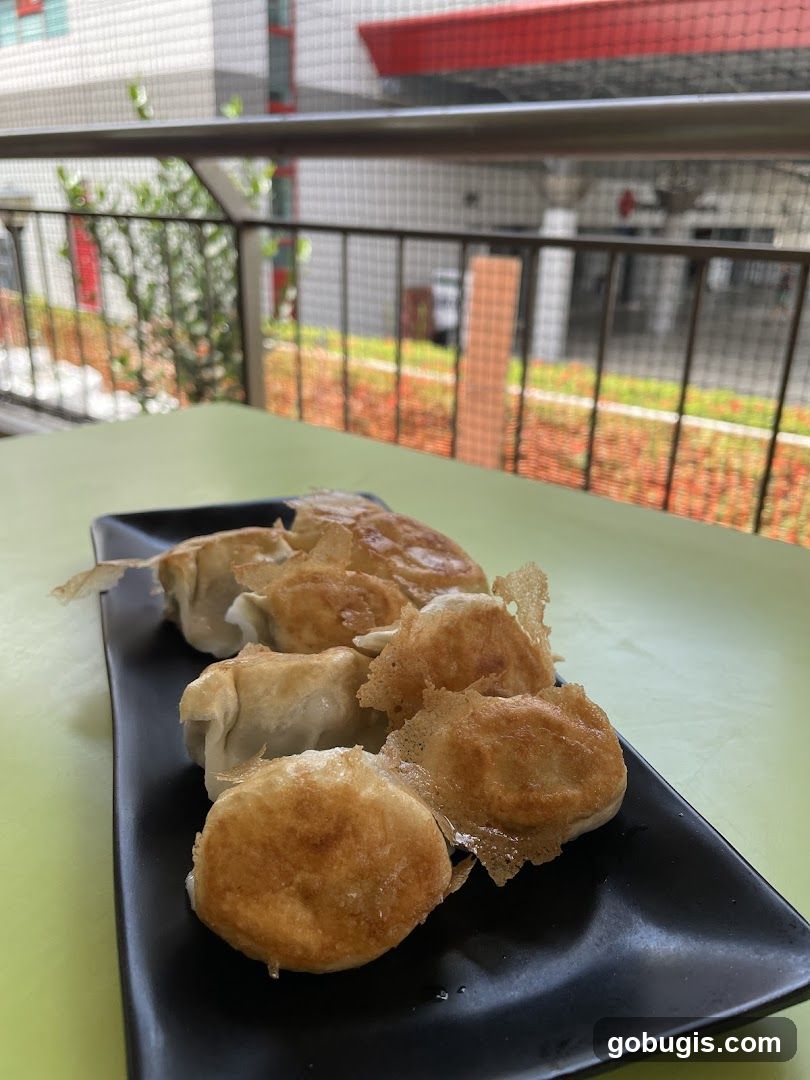 Pan-fried dumplings