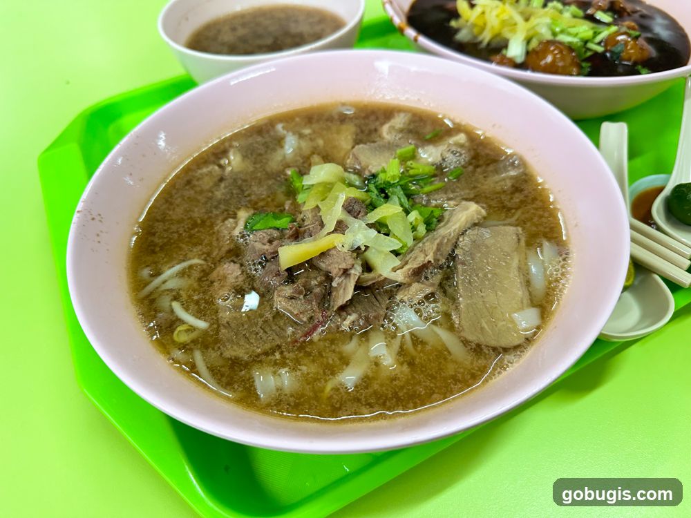 Beef noodle soup