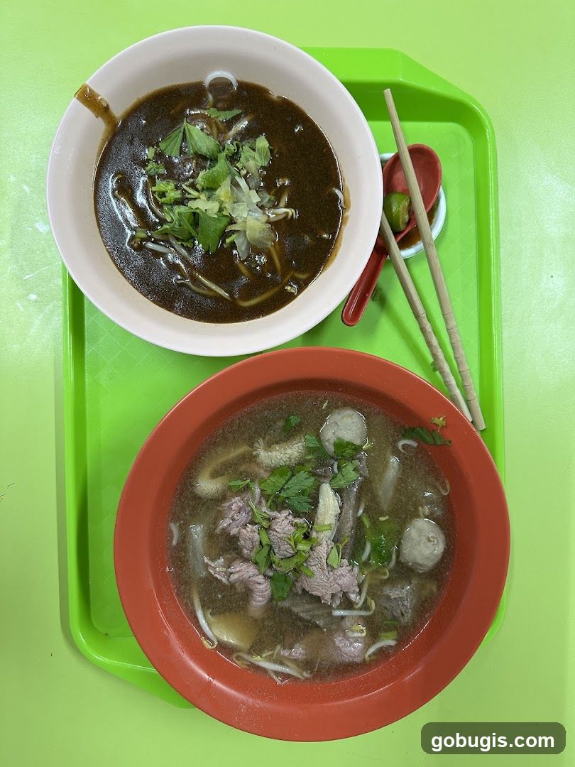 Two bowls of noodle soup