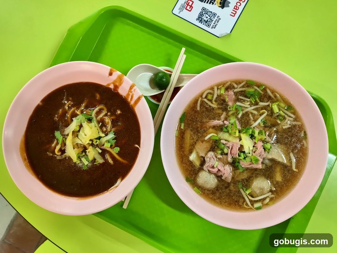 Two bowls of noodles