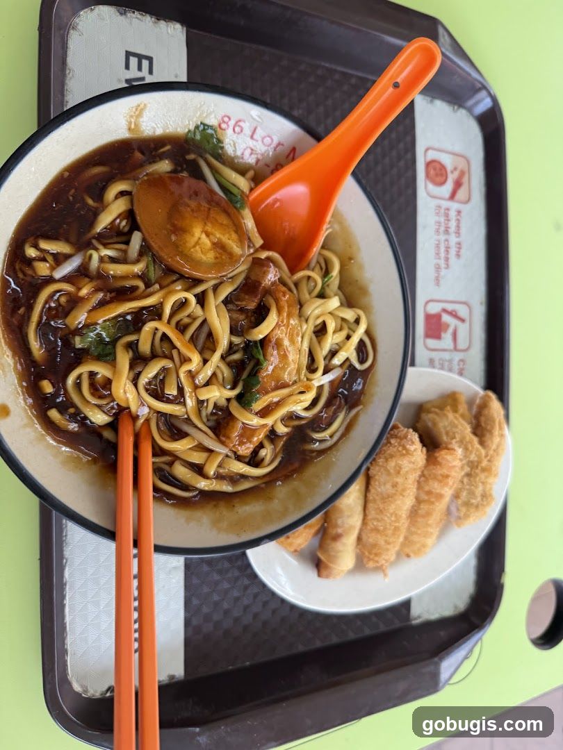 Noodles and Spring Rolls
