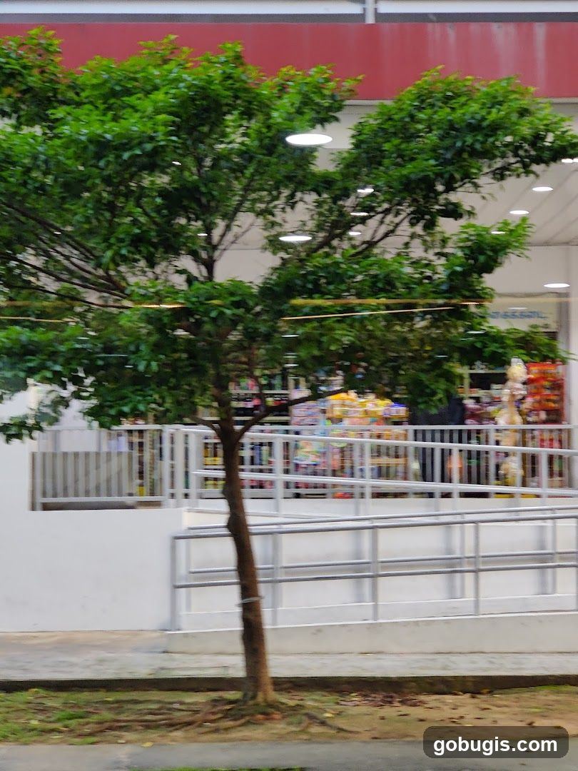 Storefront with Tree