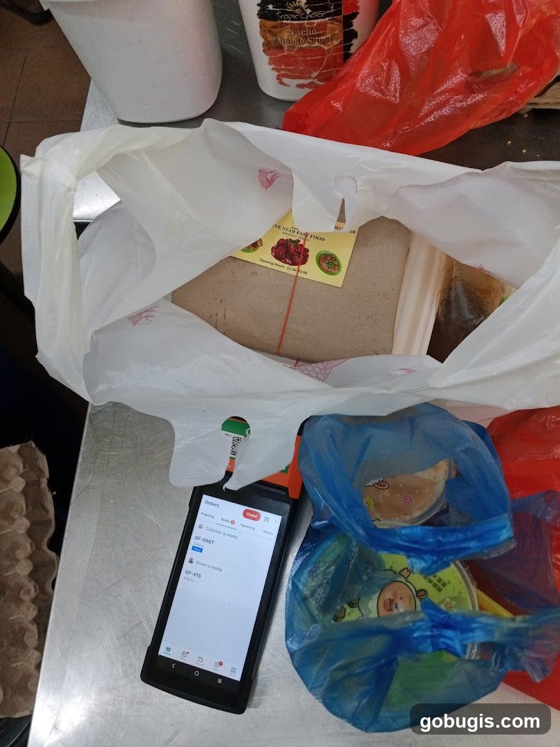 Food Delivery Bags and Order Device