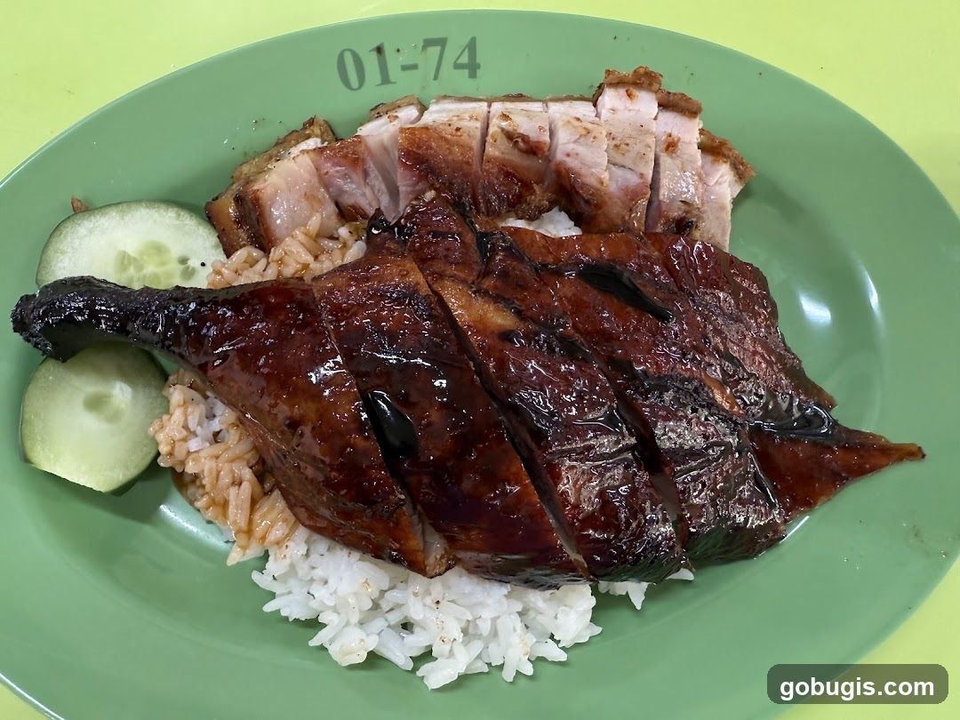Roast Duck and Pork Rice