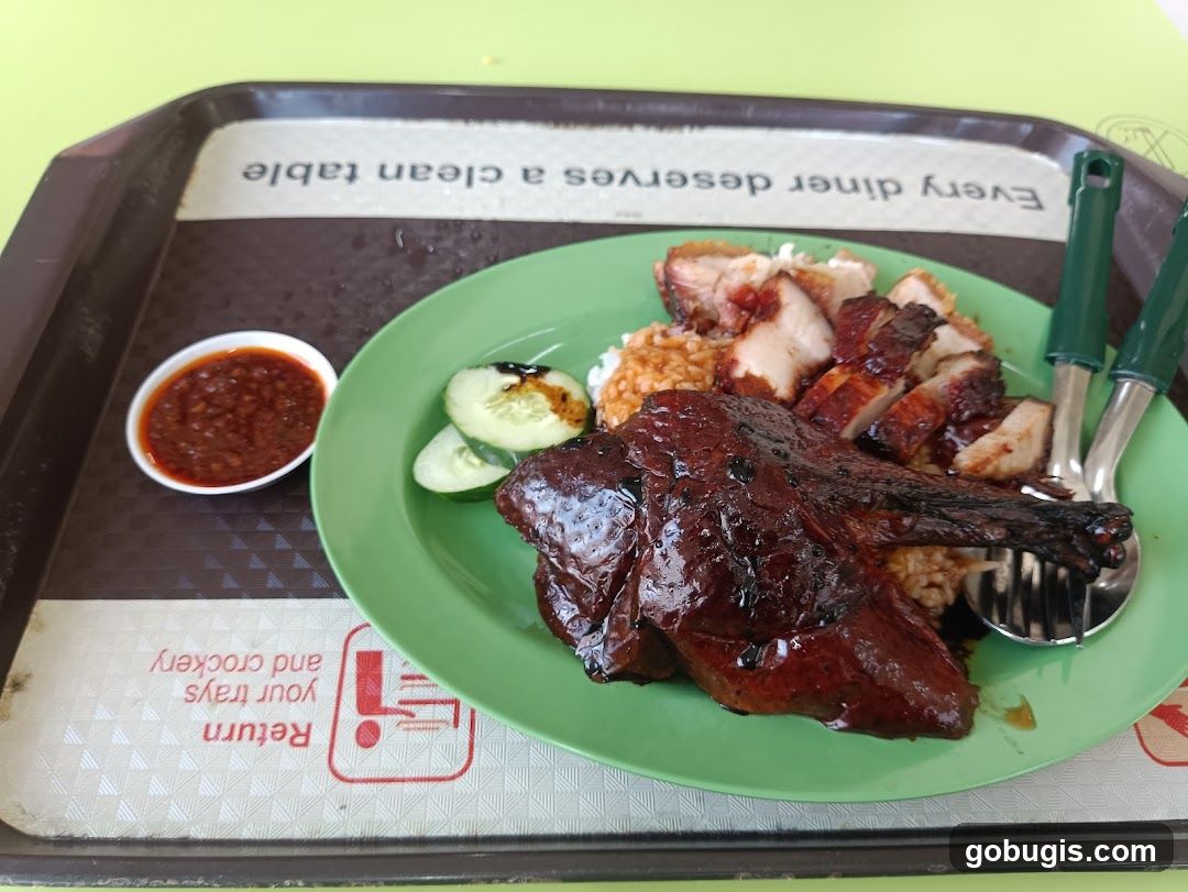 Roast Duck and Pork Rice