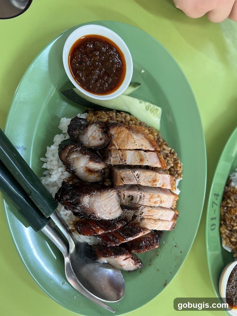 Roast Pork and Char Siu Rice