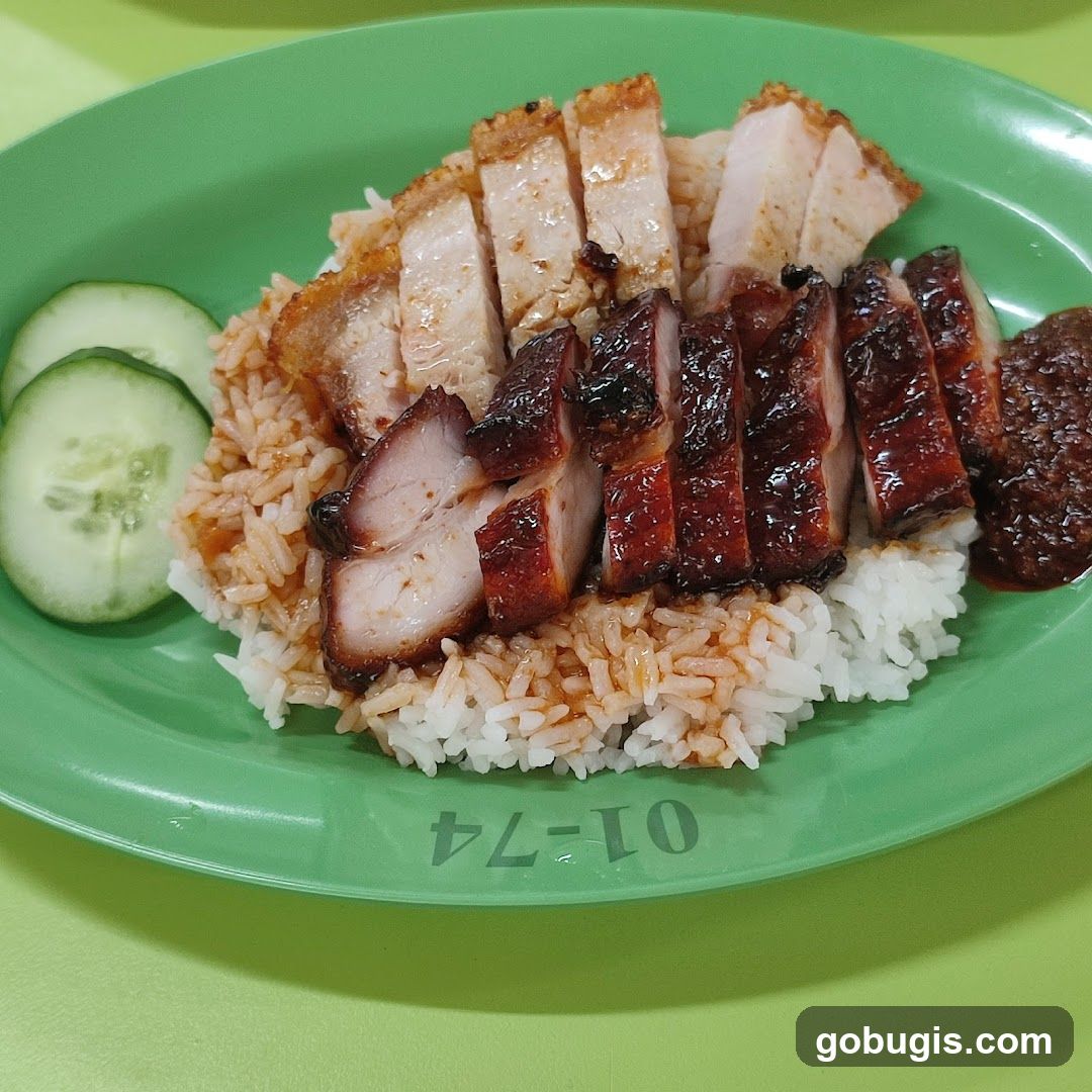 Roast Pork and Char Siu Rice