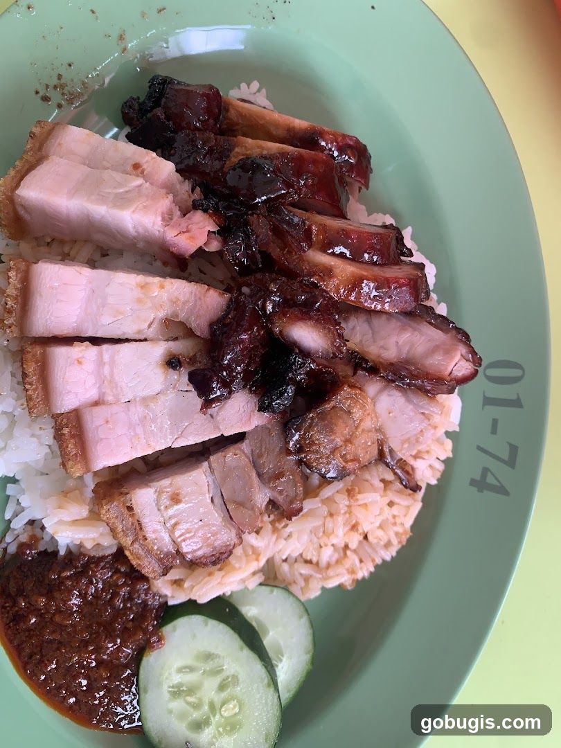 Roast Pork and Char Siu Rice