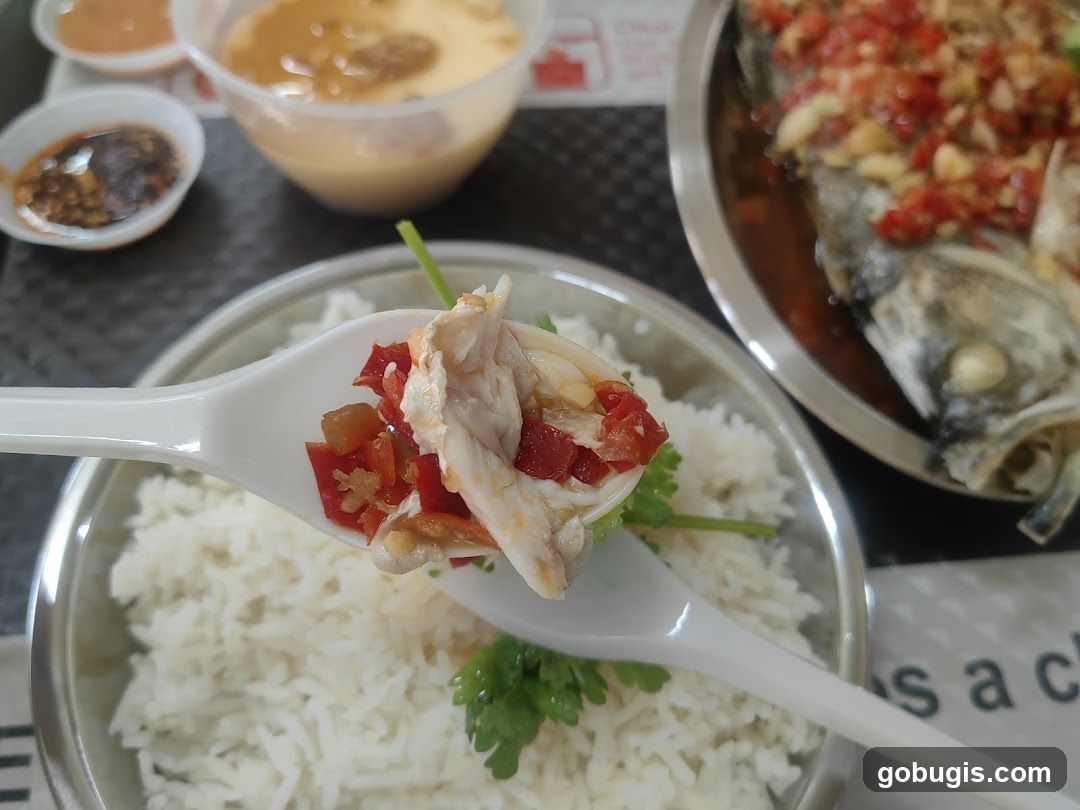 吃了吗 Steam Fish