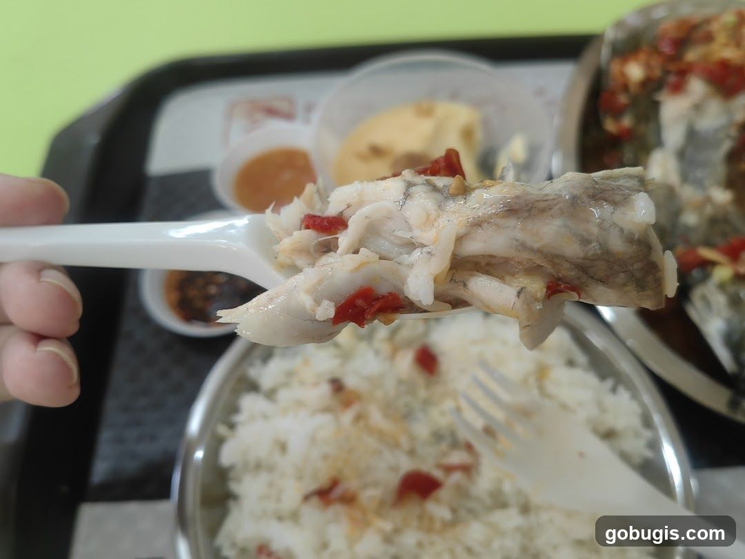 Steamed Fish with Rice