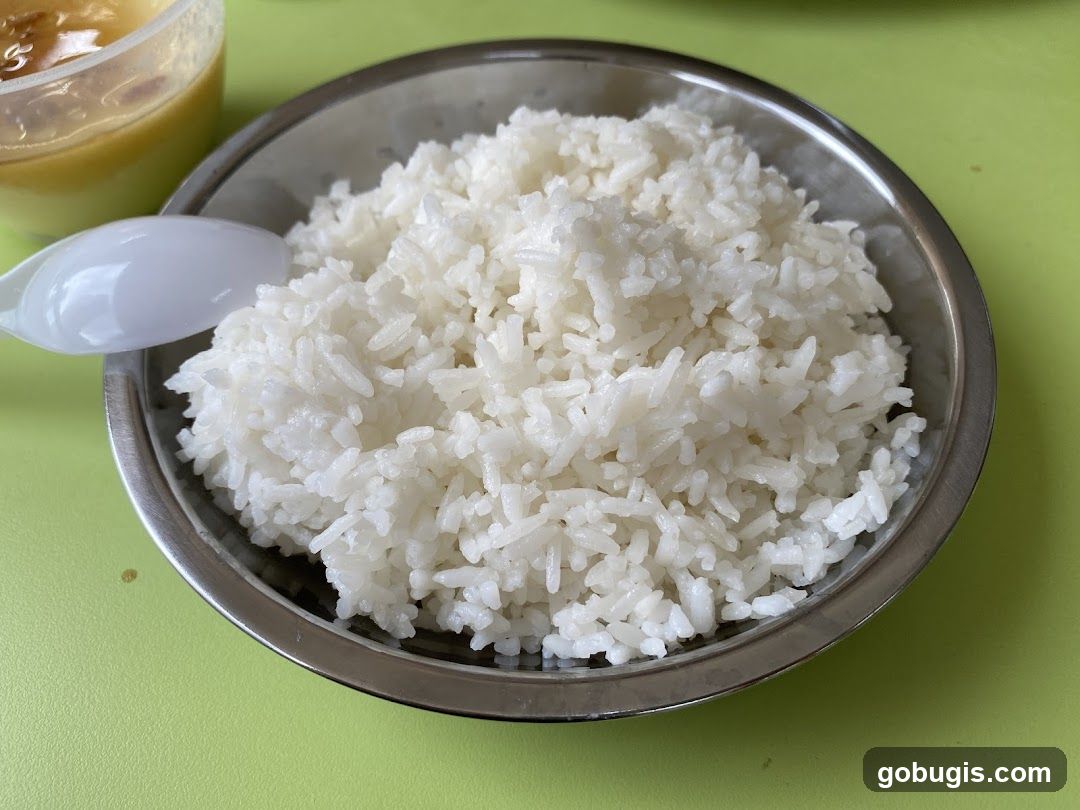 Steamed Rice with Sauce