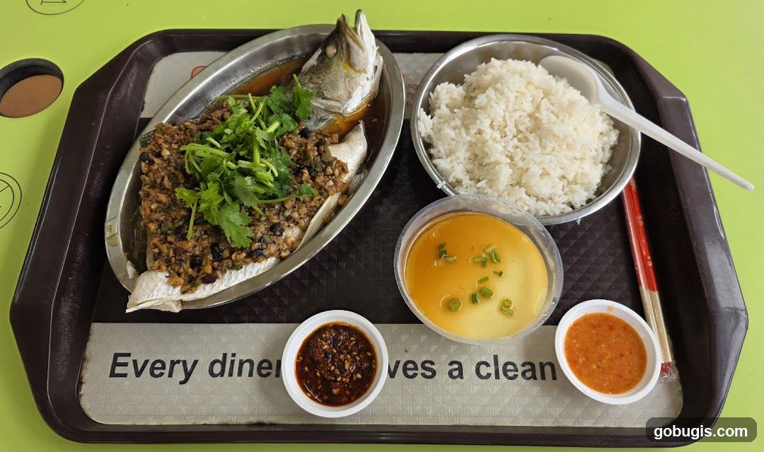 Steamed Fish Set Meal