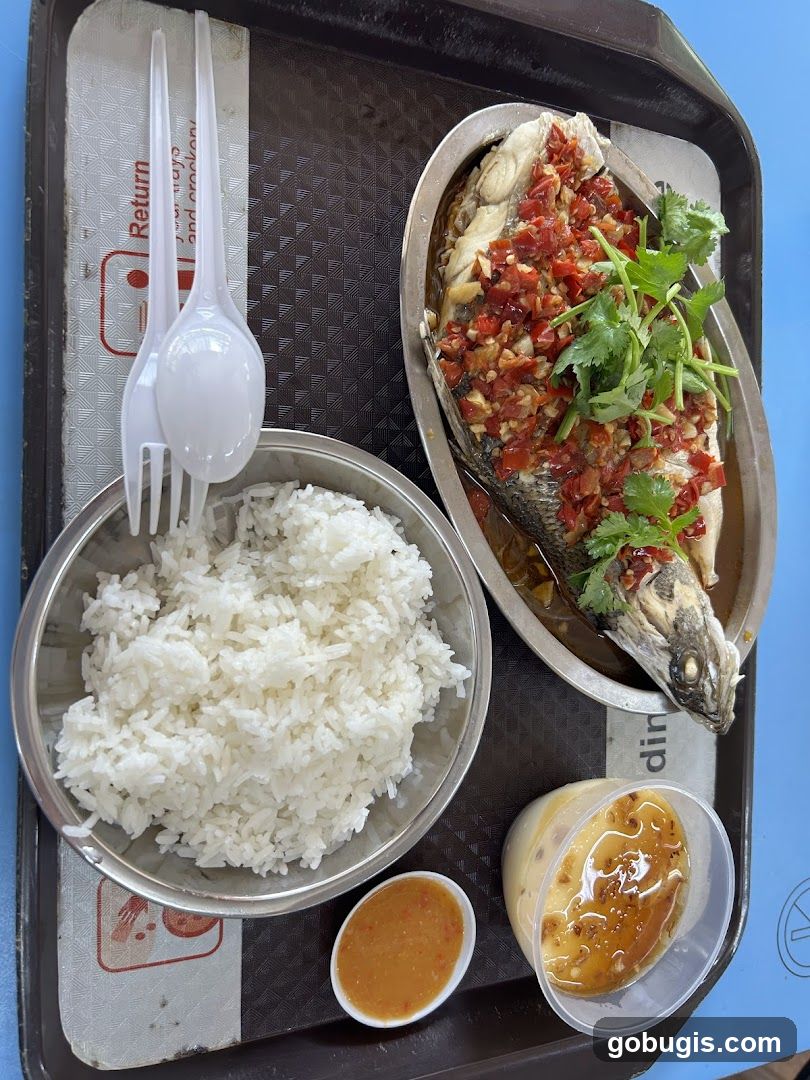 Steamed Fish with Rice