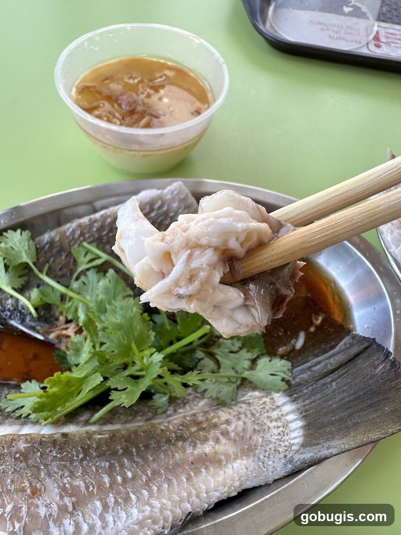 Steamed Fish with Sauce