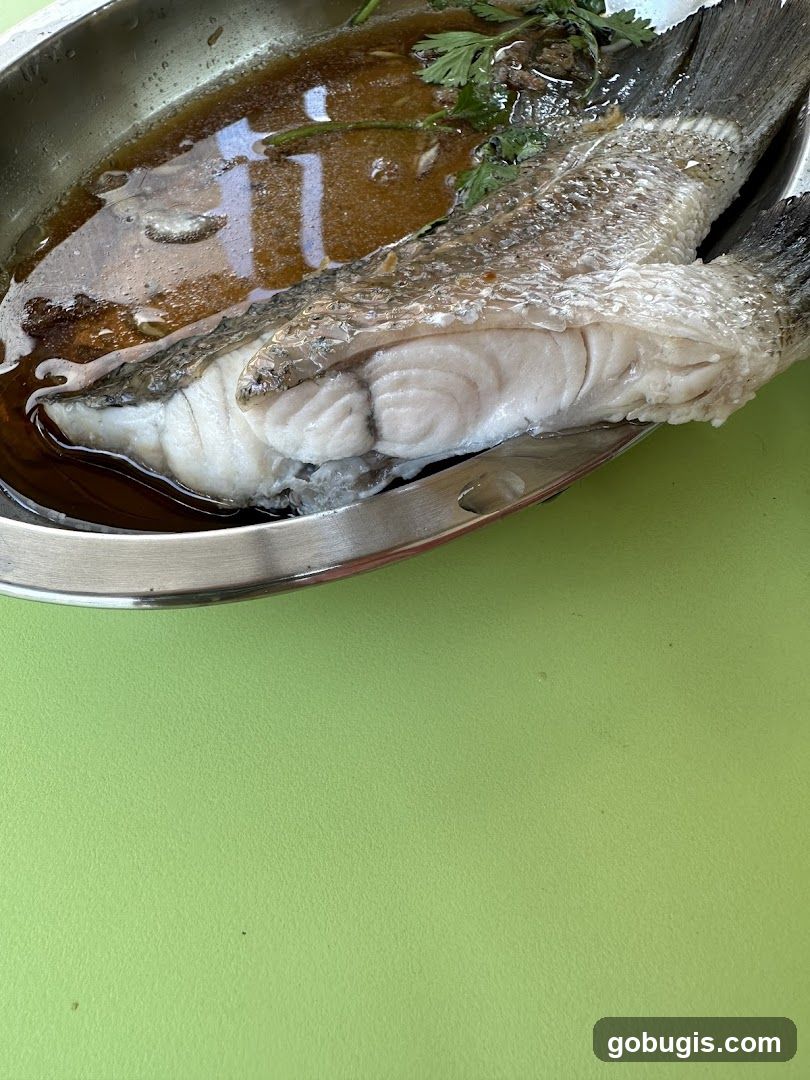 Steamed Fish