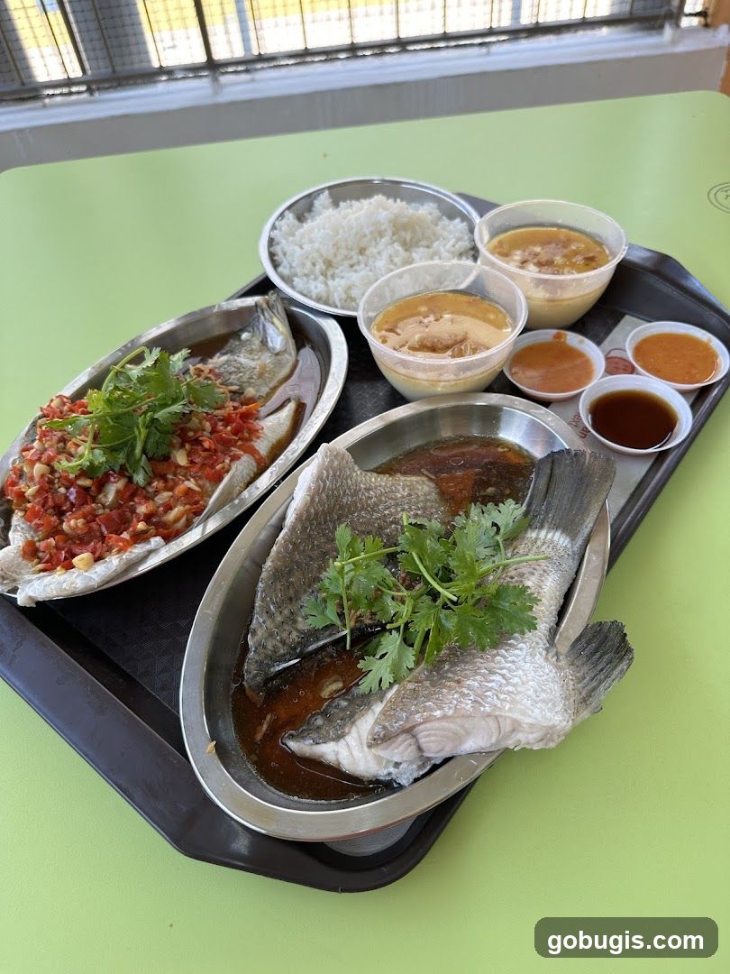 Steamed Fish Meal