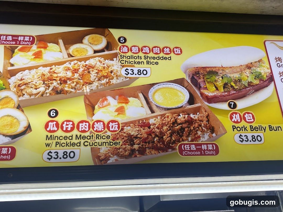 Taiwan Fan Bao 台湾饭包