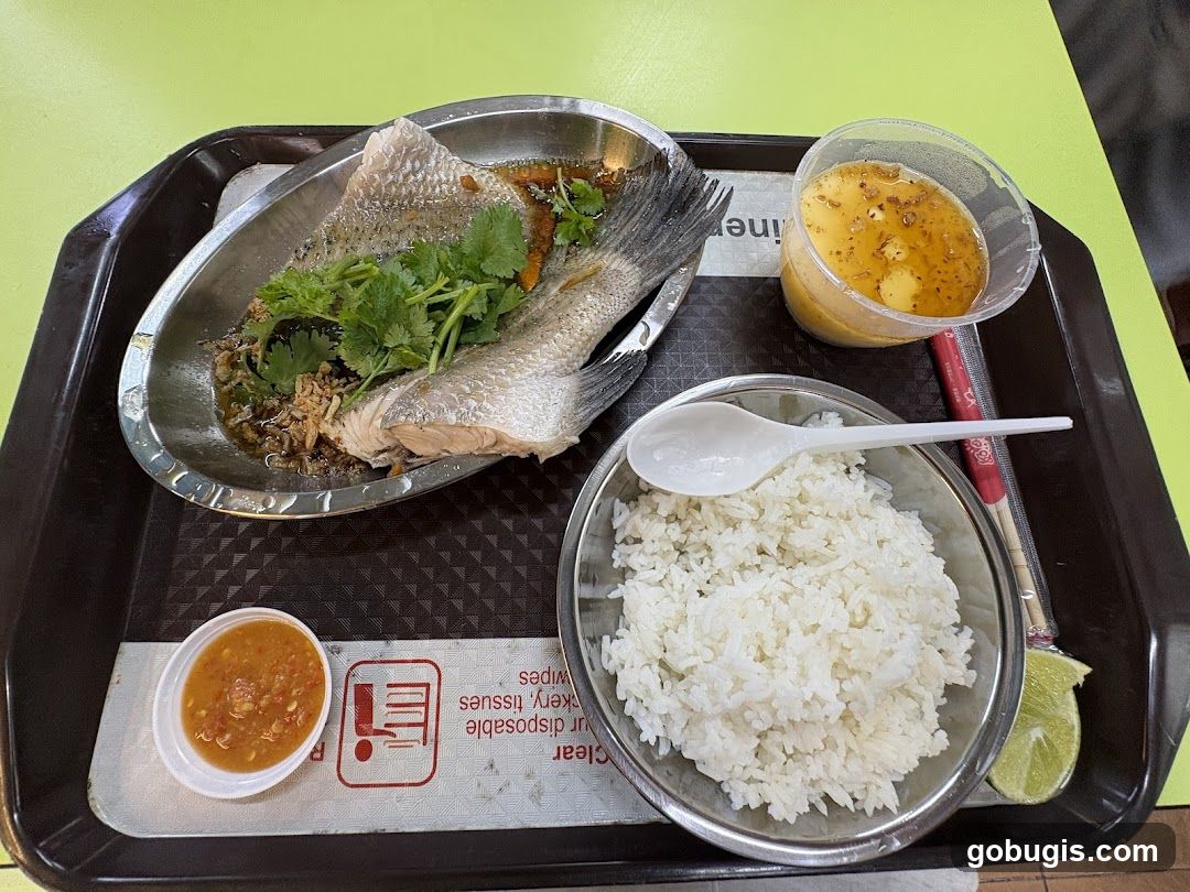 Steamed Fish with Rice