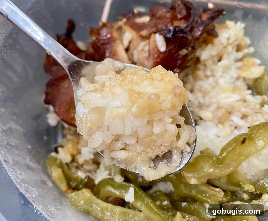 Close-up of a Spoonful of Rice and Meat