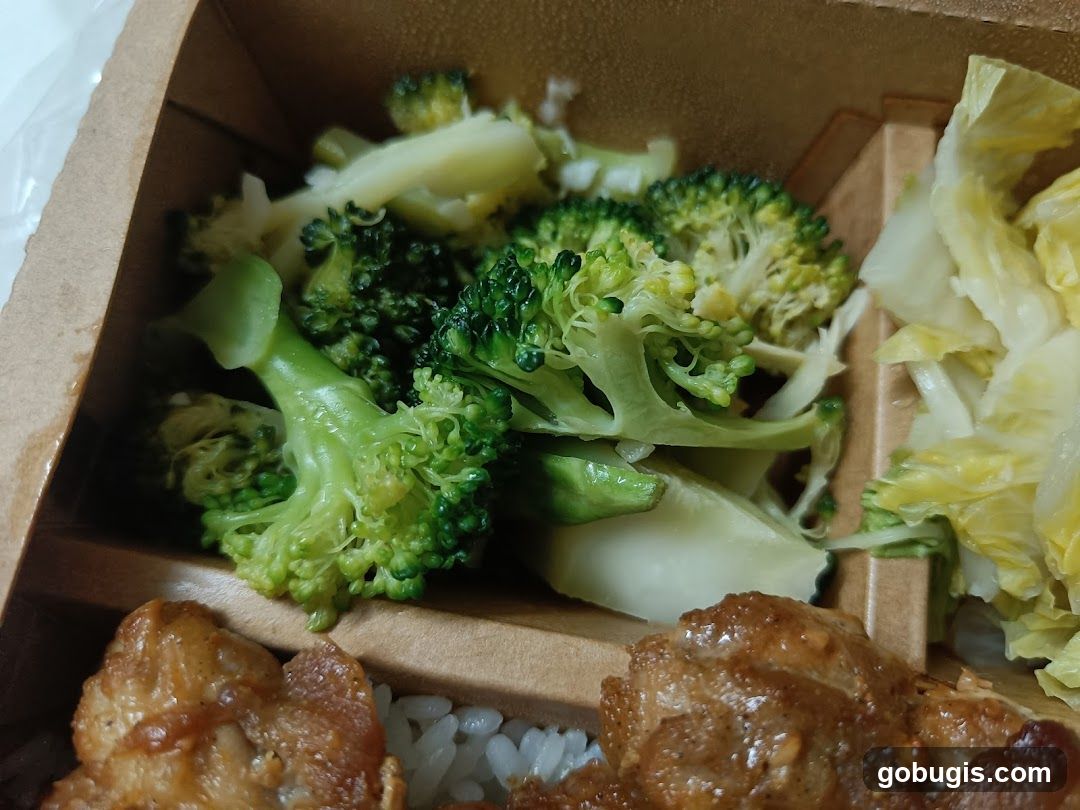 Broccoli and Cabbage Bento Box