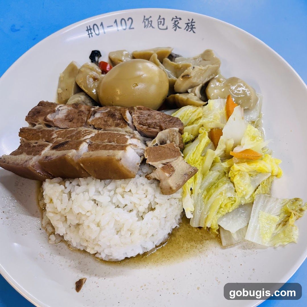 Braised Pork Rice