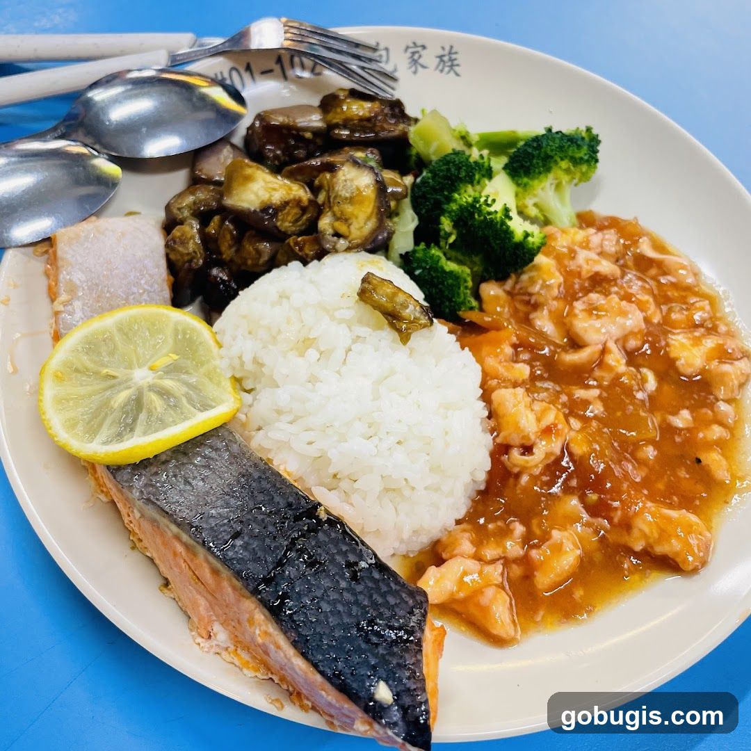 Salmon and Rice Plate