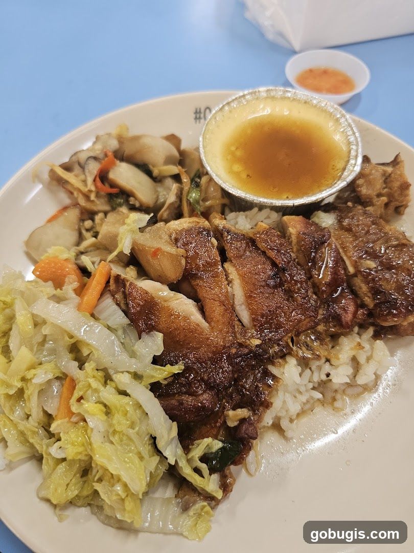 Roast Duck Rice