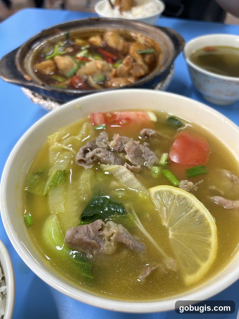 Beef and Vegetable Soup