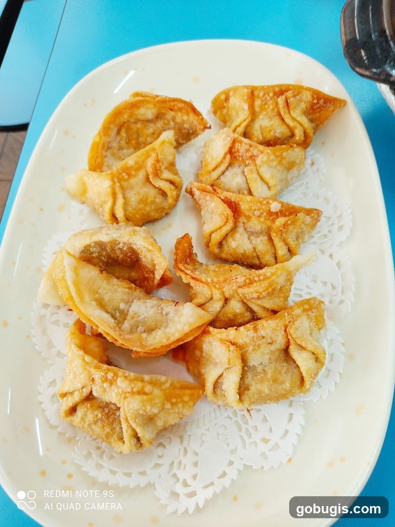 Fried Wontons