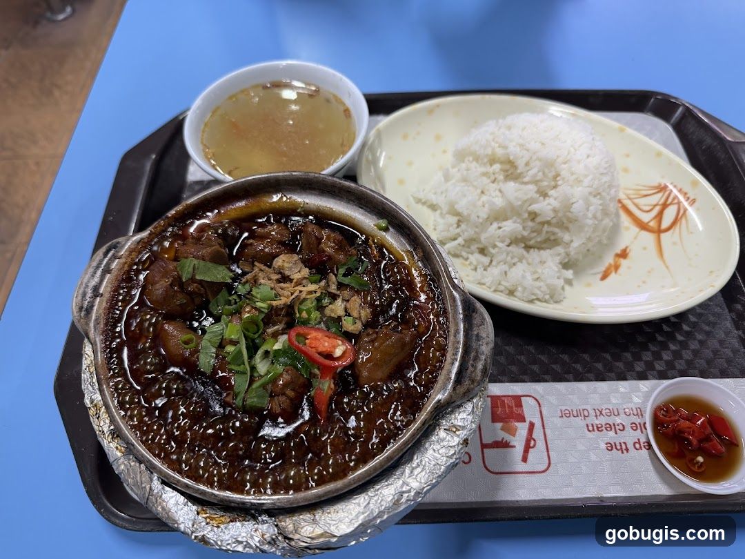 Braised Meat with Rice
