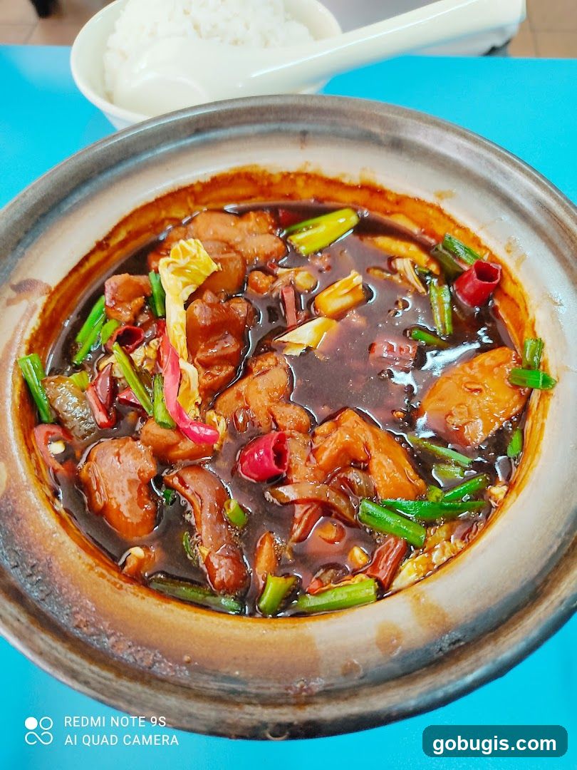 Claypot Dish with Rice