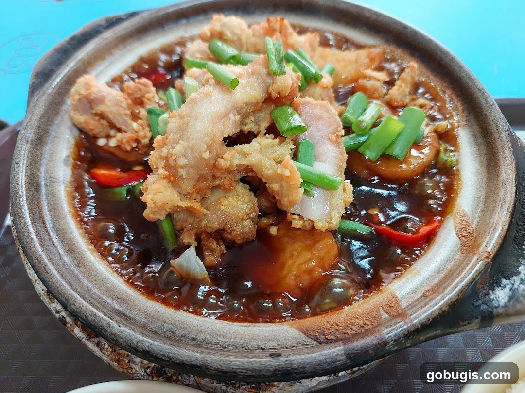 Claypot Dish with Fried Pork and Tofu