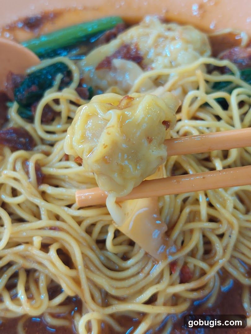 Wonton Noodles