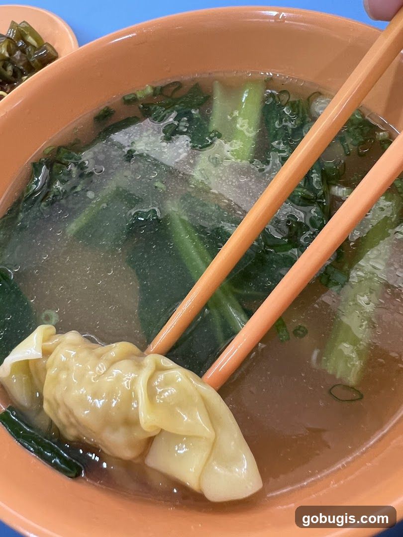 Wonton Noodle Soup