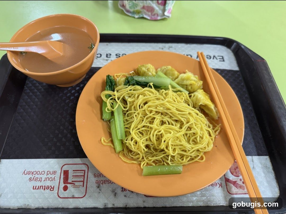 Noodles with Wontons