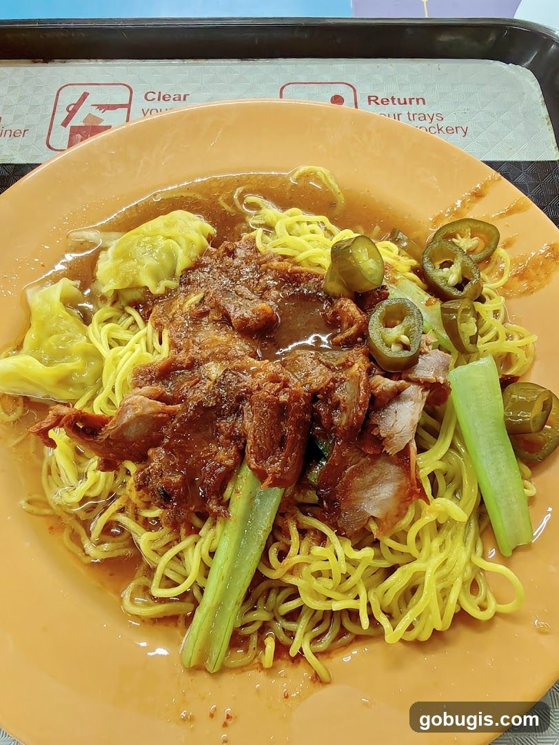 Wonton Noodles