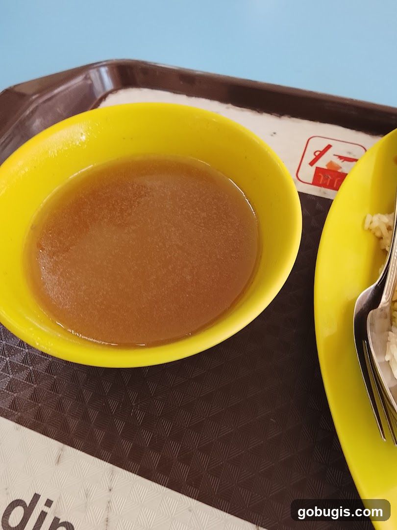 Bowl of Broth and Rice
