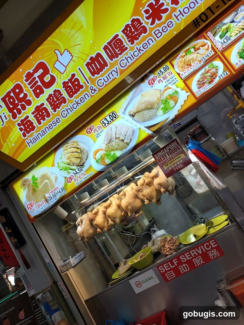 Hainanese Chicken and Curry Chicken Bee Hoon Stall