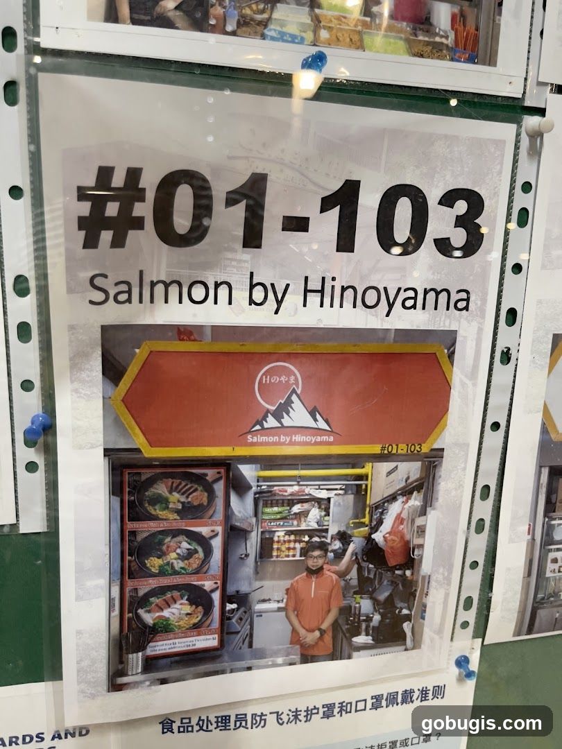 Salmon by Hinoyama