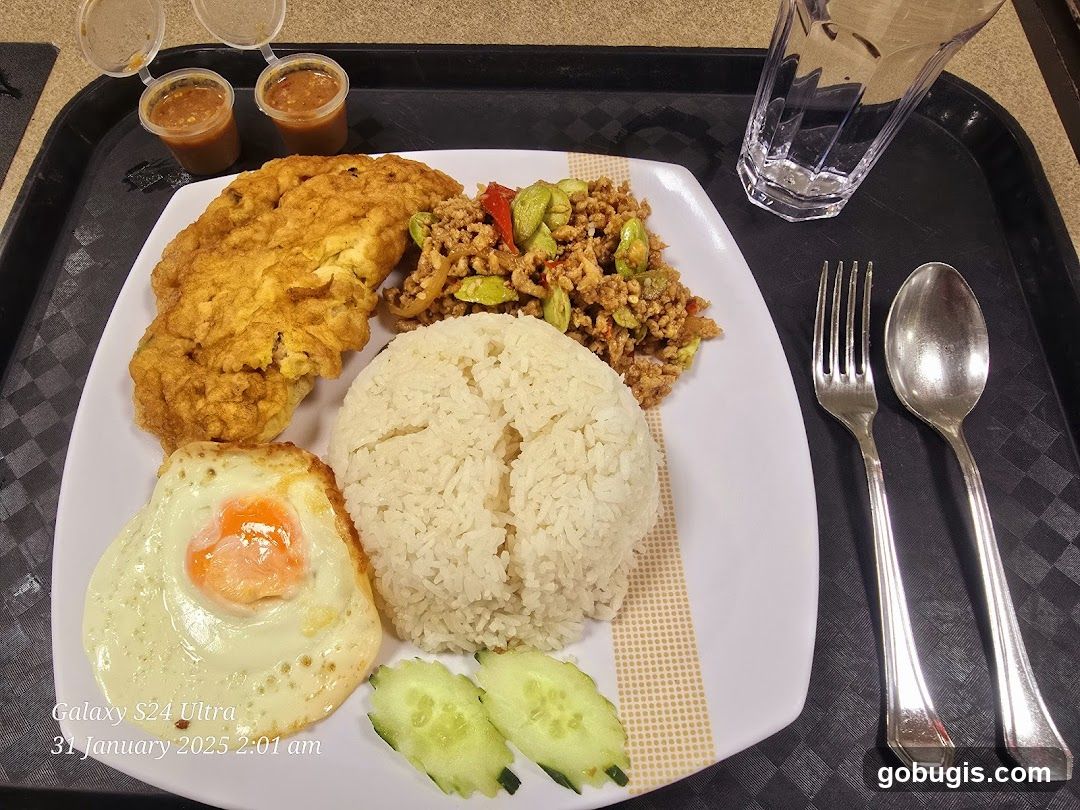 Meal with Omelette and Stir-fry