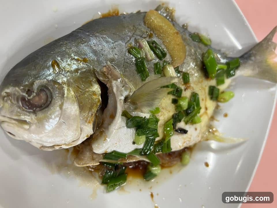 豪大大鸡排 Western Cuisine