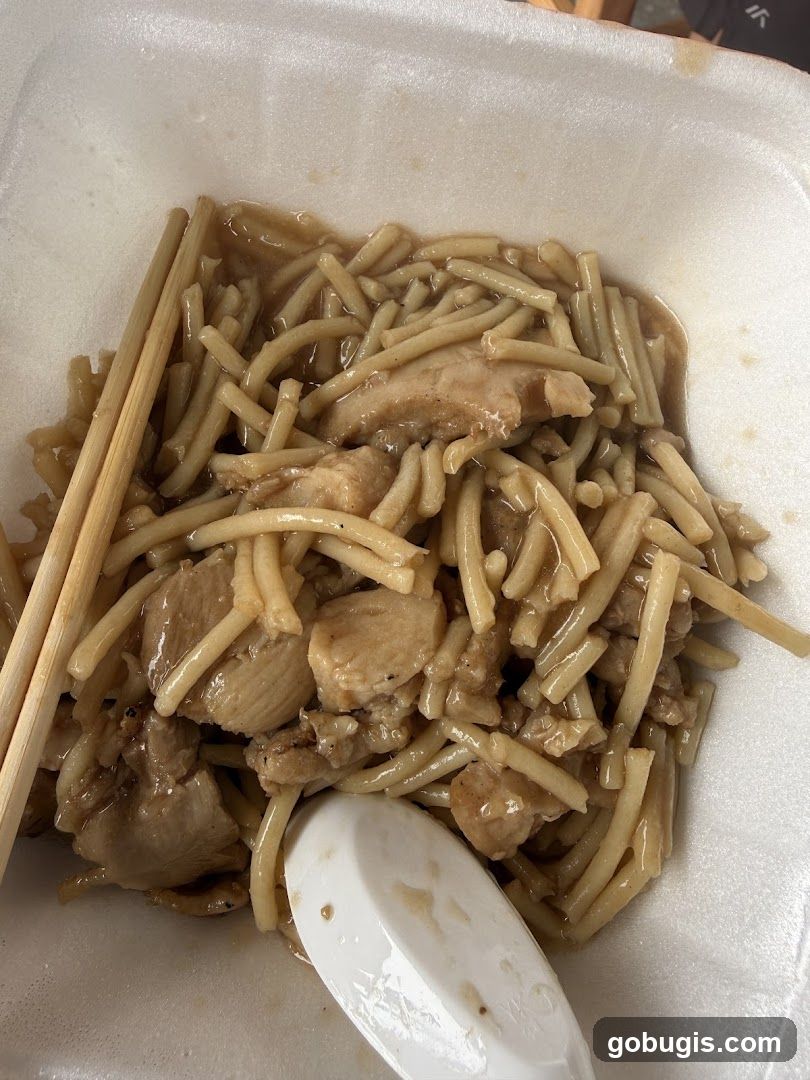 Chicken and Noodles