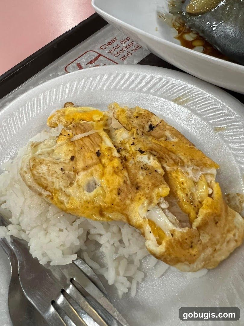 Fried Eggs and Rice