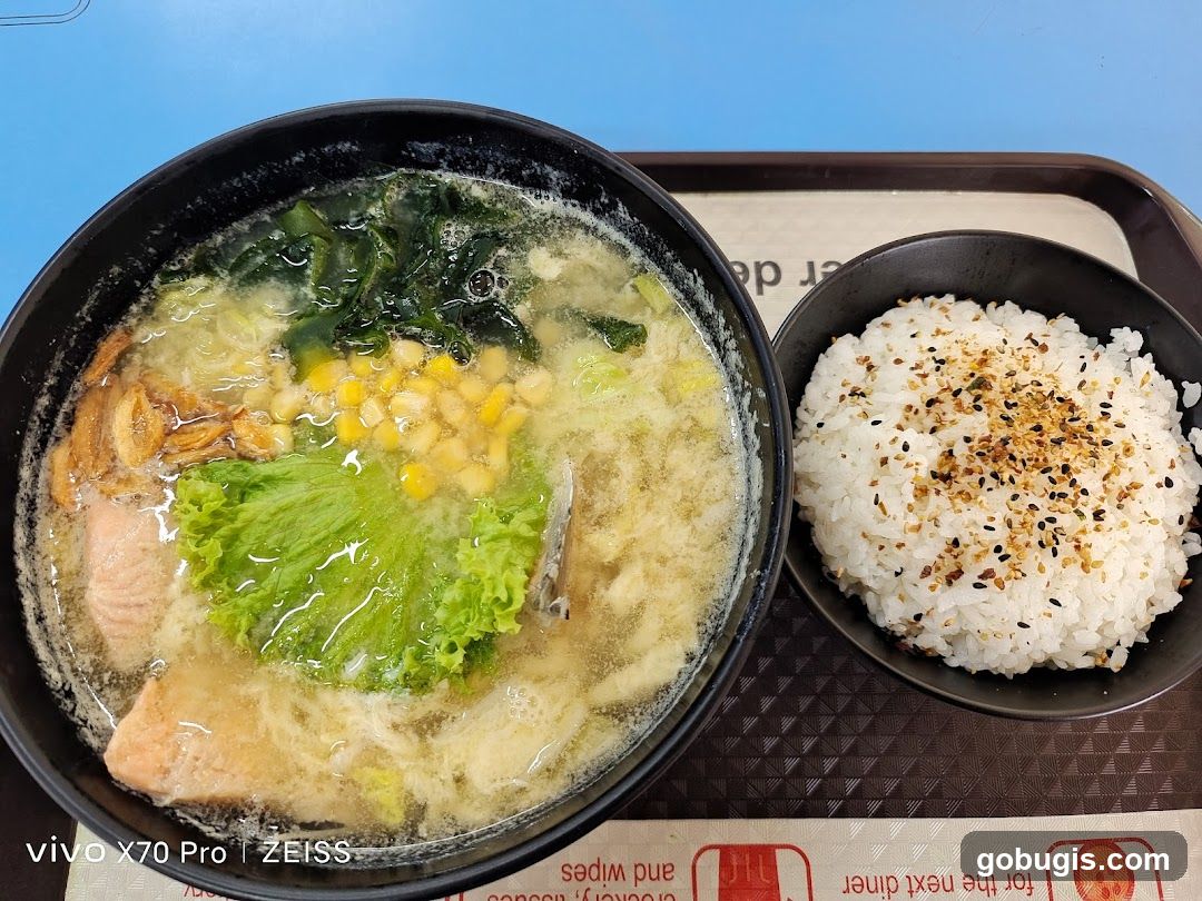 Salmon Soup with Rice