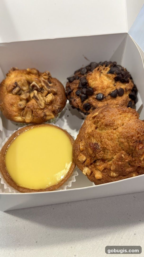 SL II Muffin (#01-101)