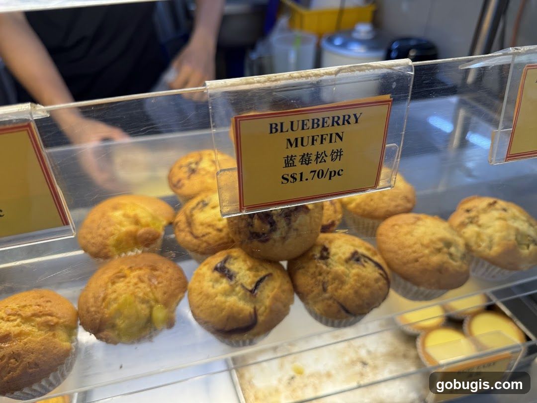 Blueberry Muffins