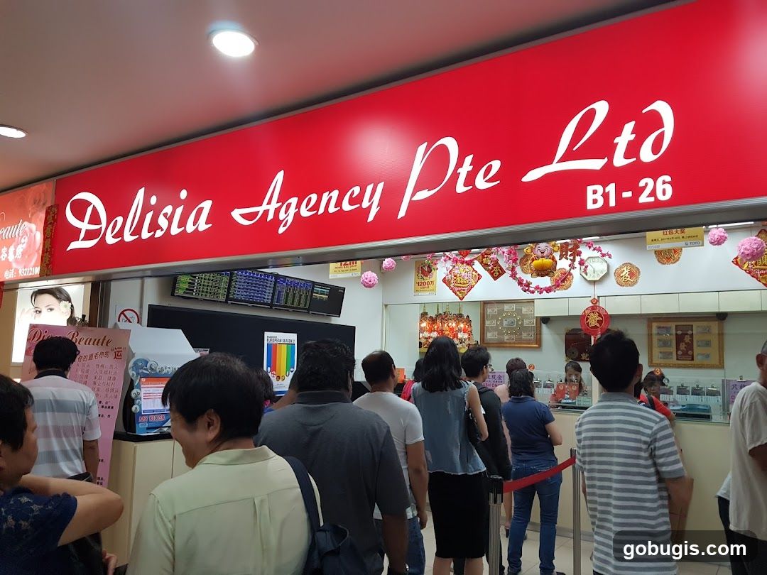 Delisia Agency Pte Ltd