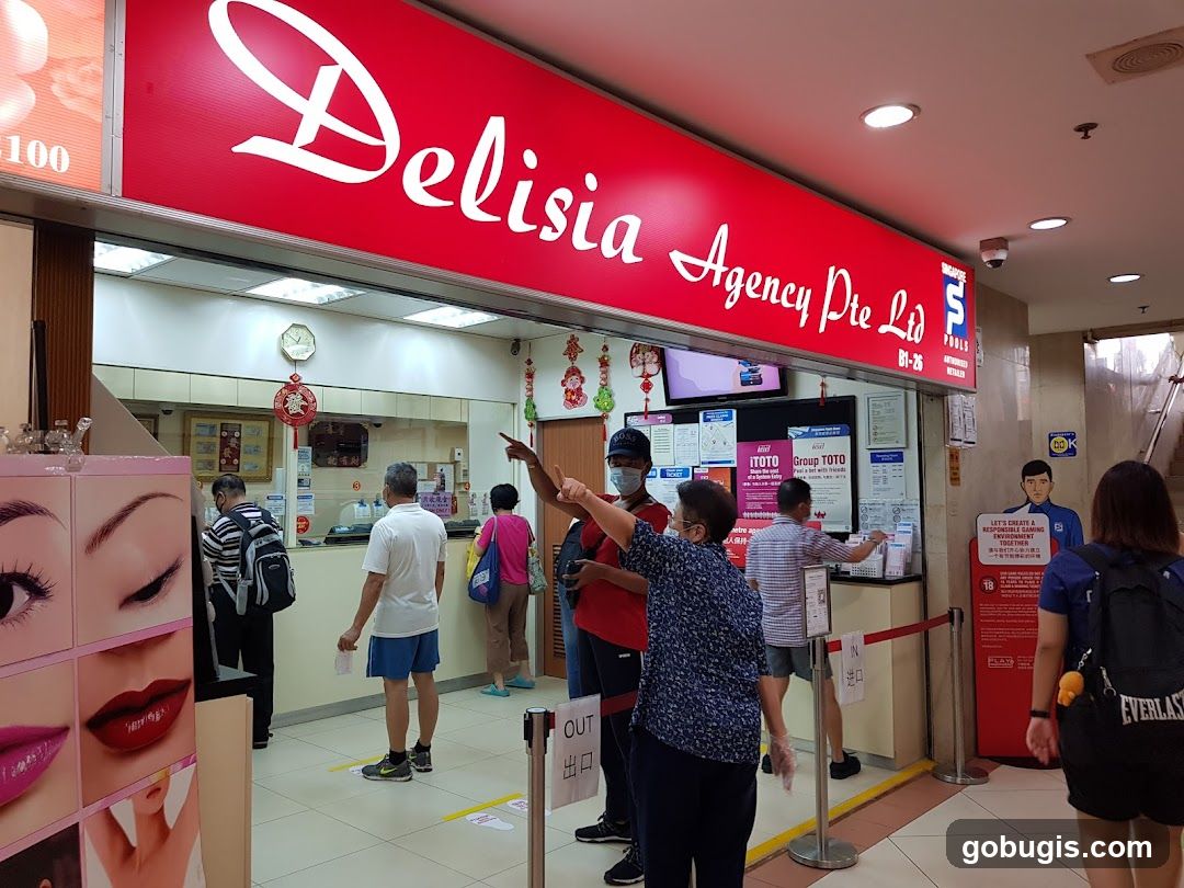 Delisia Agency Pte Ltd